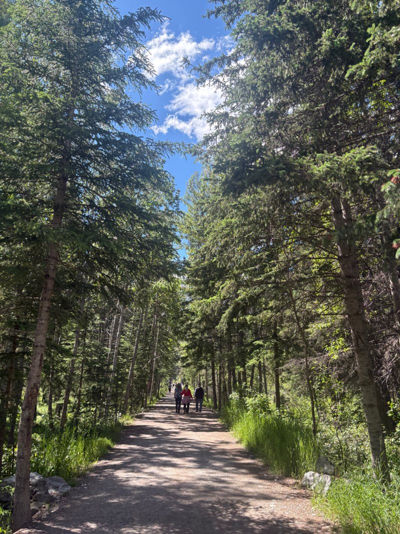 Banff/ Jasper img 9233 800x1067