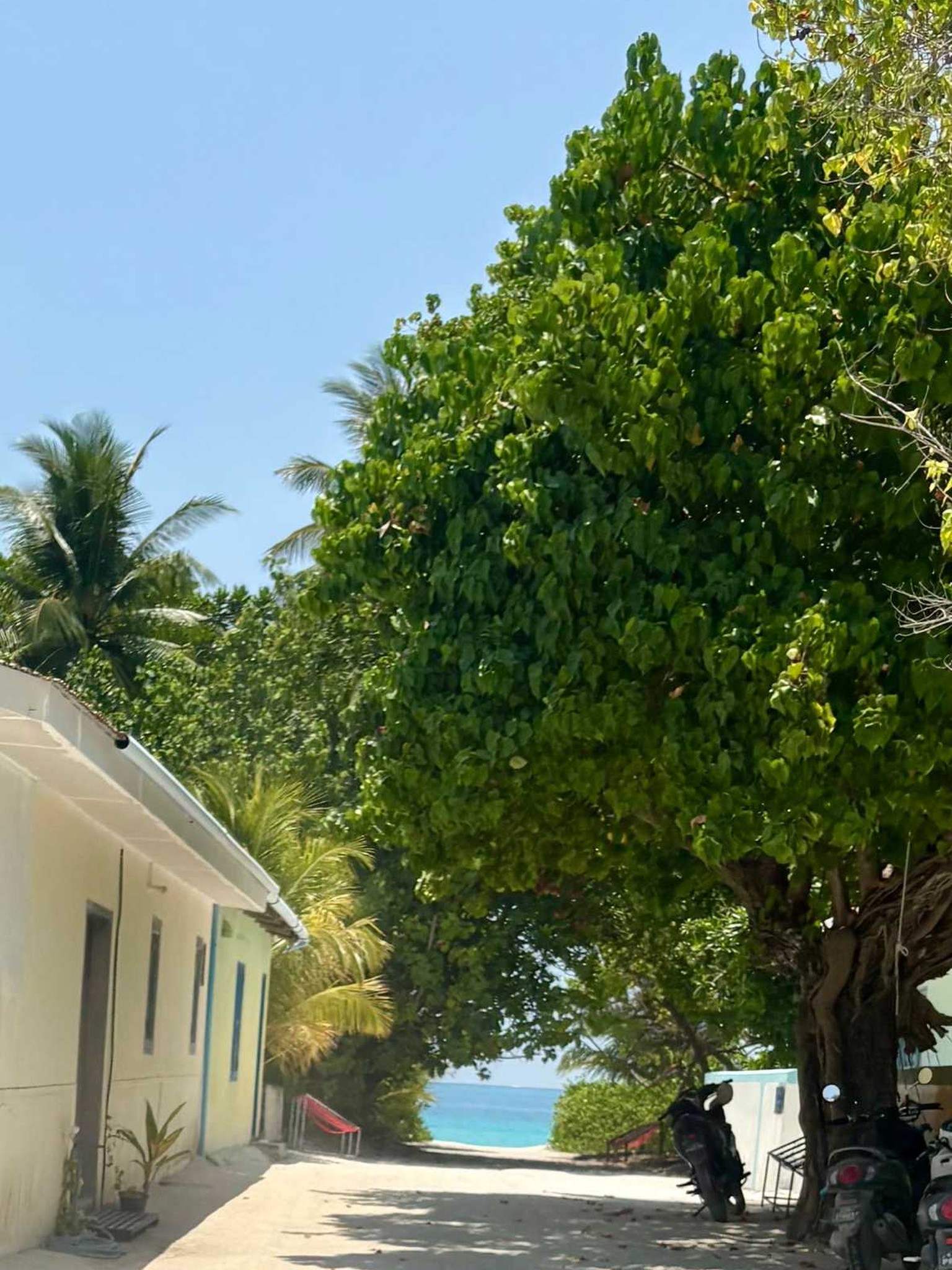 maldives dhigurah 2